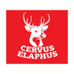 Cervus Elaphus