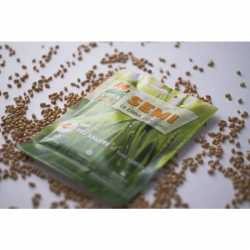 Erba Piu Cat Grass Seeds Cat Grass
