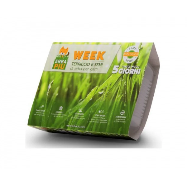 Erba Piu Cat Grass Tray  Cat Grass