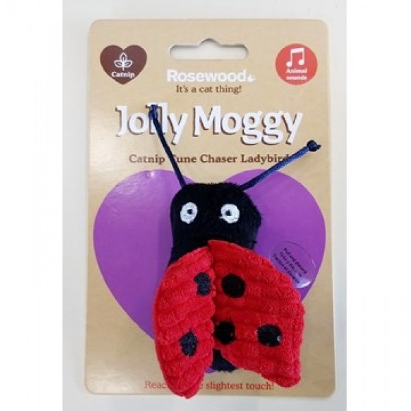 Jolly Moggy - Catnip Tune Chaser Ladybird 