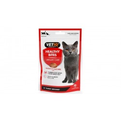 Healthy Bites - Urinary Care 65gr Λιχουδιές - Σνακς