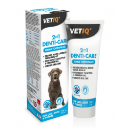 Denti-Care 2in1 Paste 70gr Στοματική Υγιεινή