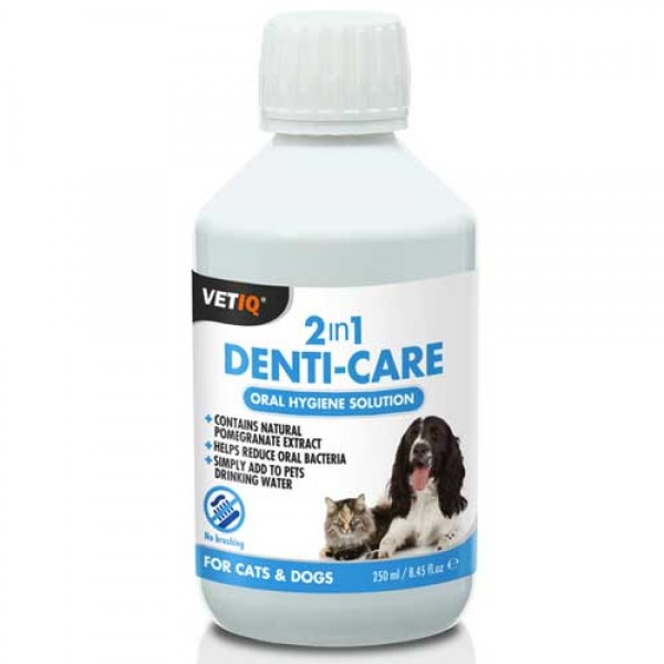 Denti Care 2in1 Liquid 250ml Στοματική Υγιεινή
