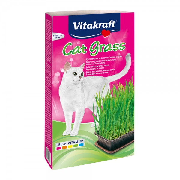 VitaKraft Cat Grass - Γρασίδι για Γάτες σε Δισκάκι 120gr Cat Grass