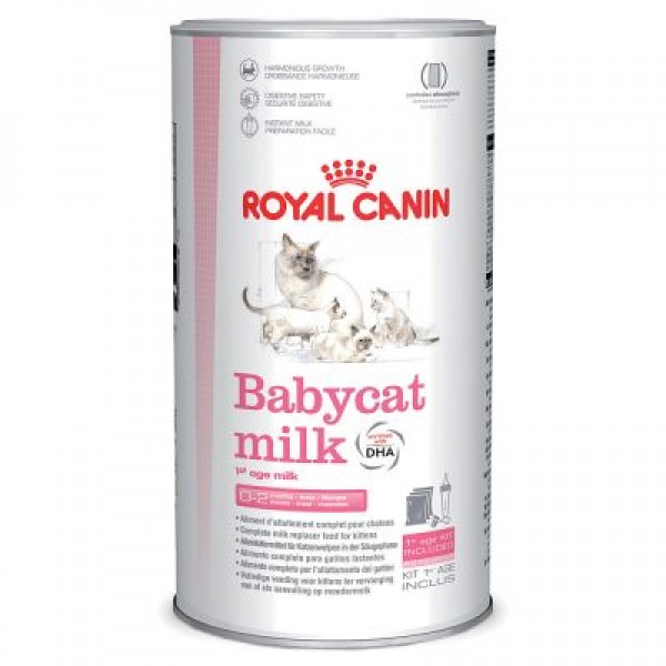 Royal Canin Babycat Milk 300gr Προϊόντα Ανάπτυξης 