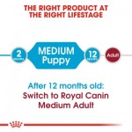 Royal Canin Size Health Nutrition - Puppy Medium 4kg Super Premium Τροφές