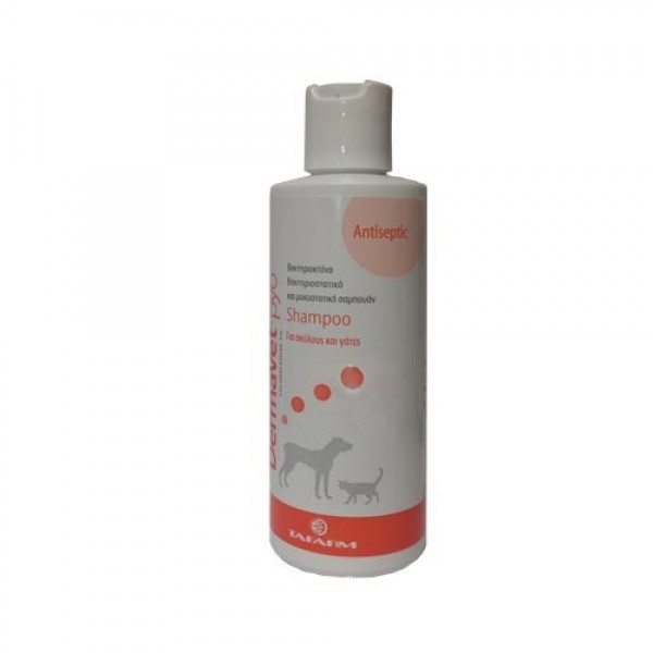 DermaVet pyo - Antiseptic 200ml Δερματολογικά Σαμπουάν