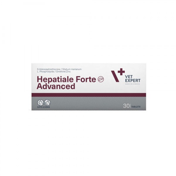 Hepatiale Forte ADVANCED - 30 δισκία Ηπατικές Διαταραχές