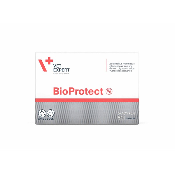 Bioprotect Caps για την Υποστήριξη της Μικροχλωρίδας του Πεπτικού Συστύματος  