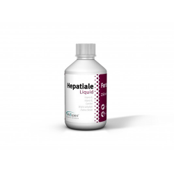 Hepatiale Forte - Liquid 250 ml Ηπατικές Διαταραχές
