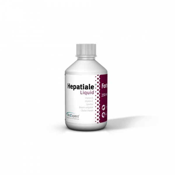 Hepatiale Forte - Liquid 250 ml Ηπατικές Διαταραχές