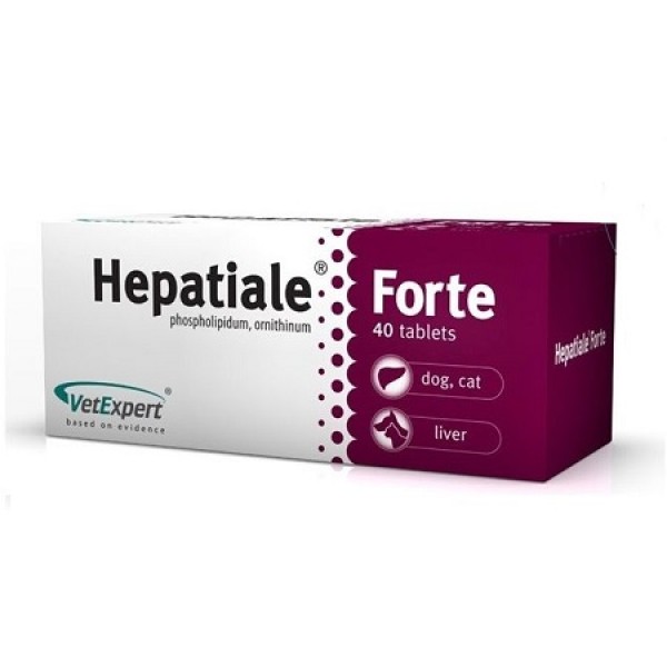 Hepatiale Forte - 40 δισκία Ηπατικές Διαταραχές