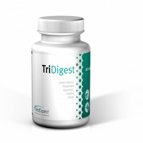 TriDigest - 40 δισκία Πεπτικές Διαταραχές