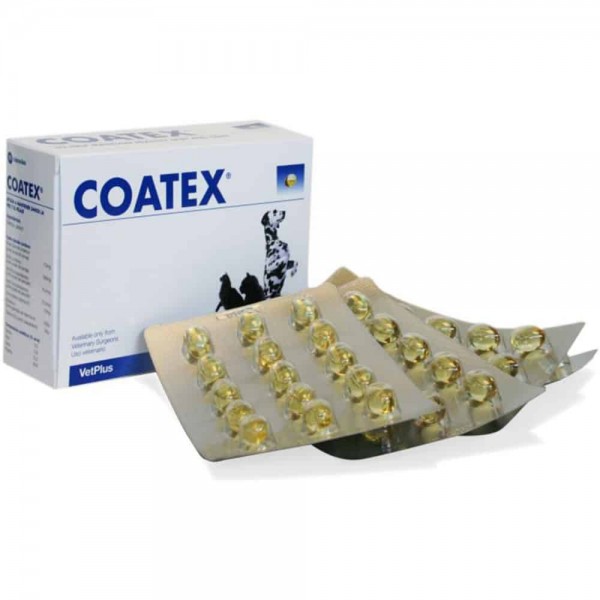 Coatex Συμπλήρωμα Διατροφής για το Δέρμα - 60 κάψουλες Δέρμα - Τρίχωμα