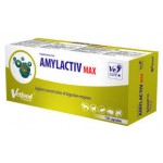 Vetfood Amylactiv Max 120 κάψουλες - Υποστήριξη της Πεπτικής Λειτουργίας  Amylactiv Max 120 κάψουλες - Υποστήριξη της Πεπτικής Λειτουργίας