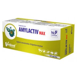 Amylactiv Max 120 κάψουλες - Υποστήριξη της Πεπτικής Λειτουργίας  