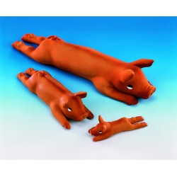 Nobby - Latex Toy, Piggy μεγάλο Με θόρυβο