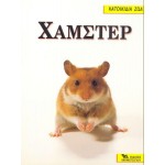 Χάμστερ Χάμστερ - Ινδικά Χοιρίδια