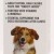 Nutri - Vit Plus Dog Vitamin Energizer, Πολυβιταμινούχο Συμπλήρωμα Διατροφής