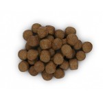 Hill's Prescription Diet Canine z/d ActivBiome+ 3kg