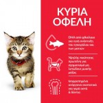 Hill's Science Plan Feline Kitten με Γαλοπούλα 85gr Super Premium Τροφές