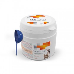 WeFiber Για Χρόνιες Εντερικές Διαταραχές 225gr Πεπτικές Διαταραχές