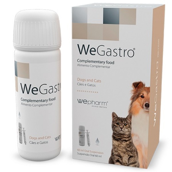 WeGastro Προστασία και διατήρηση της φυσιολογικής γαστρικής λειτουργίας - Πόσιμο διάλυμα 60ml Πεπτικές Διαταραχές